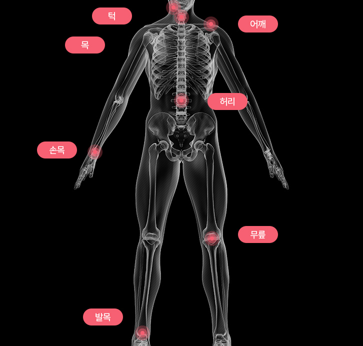 턱, 목, 어깨, 허리, 손목, 무릎, 발목
